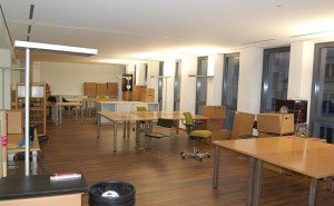 Professional Movers - mutari, debarasare si depozitare mobila